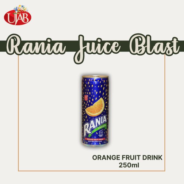RANIA TIN ORANGE Fruit drink 250ml