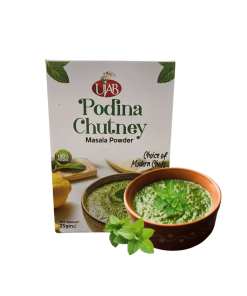 Ujab Podina Chutni Powder 25 gram
