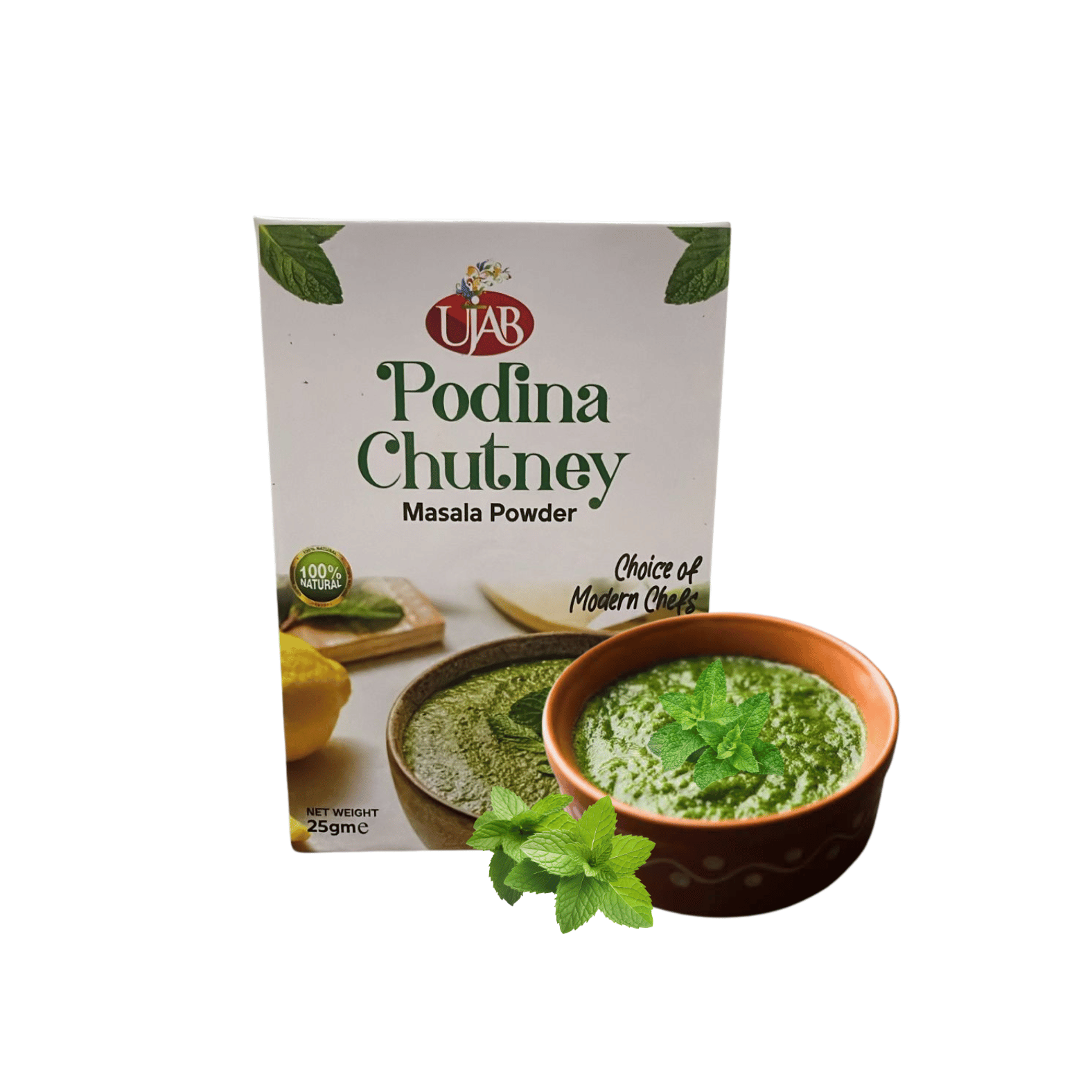 Ujab Podina Chutni Powder 25 gram