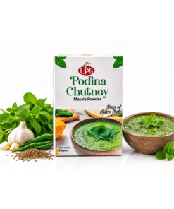 Ujab Podina Chutni Powder 25 gram