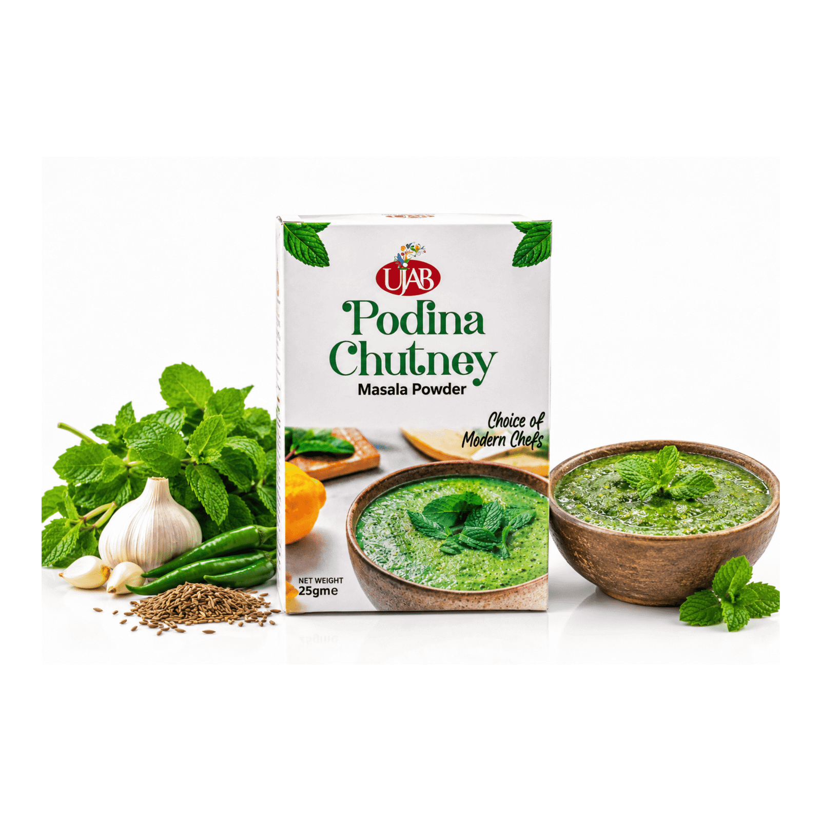 Ujab Podina Chutni Powder 25 gram